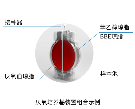 厌氧分离培养基(装置)